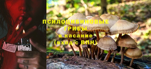 прущие грибы Абдулино